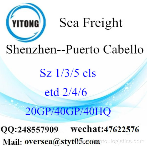 Shenzhen Port Sea Freight Shipping To Puerto Cabello